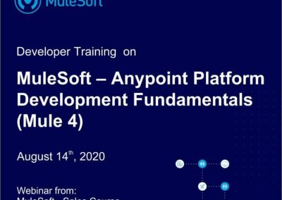 MuleSoft developer programme held for IT students