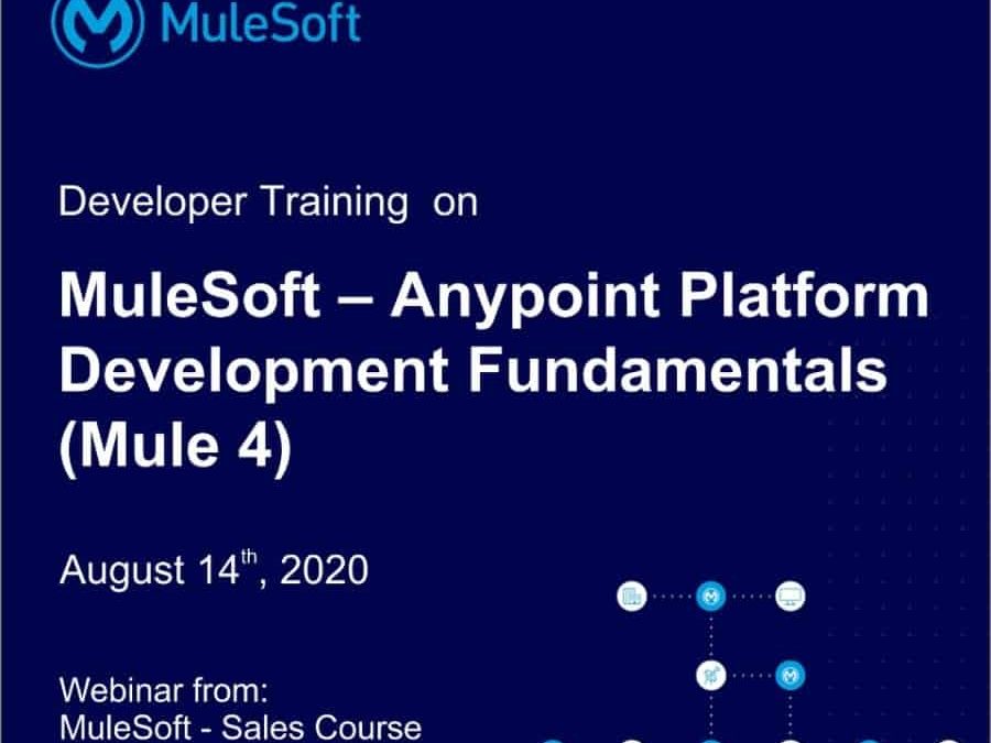 MuleSoft developer programme held for IT students