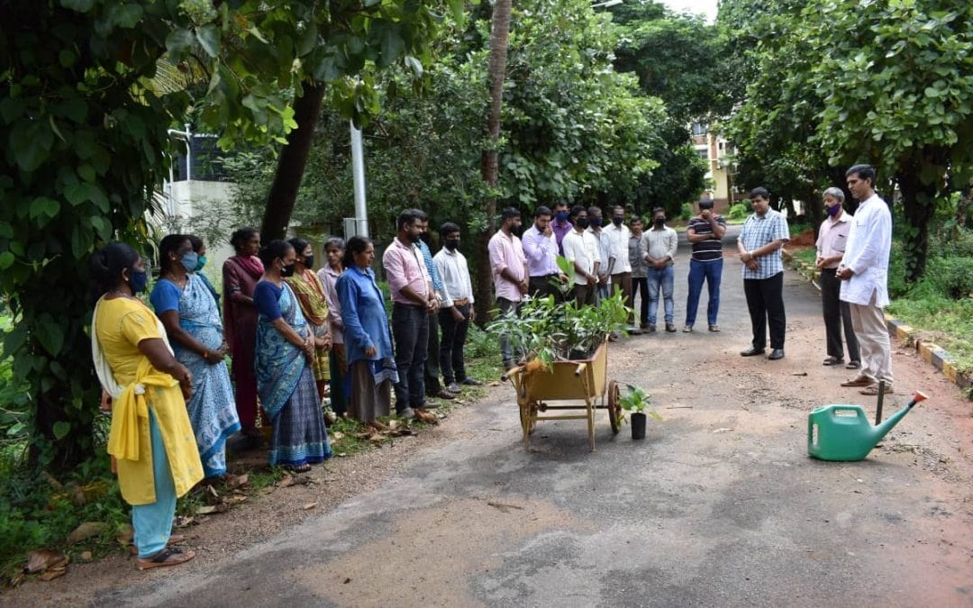 Adopt a tree: Plantation drive at AIMIT Centre