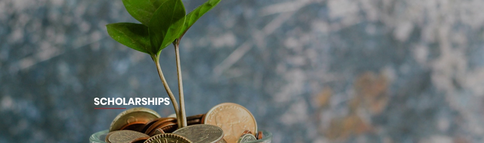 aimit-banner-scholarships