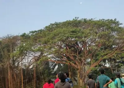 35 varieties of birds spotted at AIMIT campus