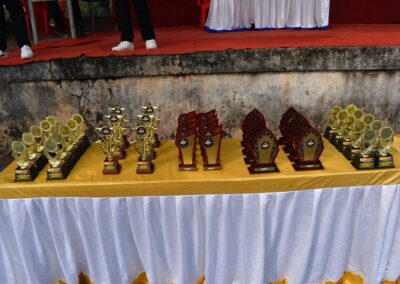 Red Wings lift APL trophy again