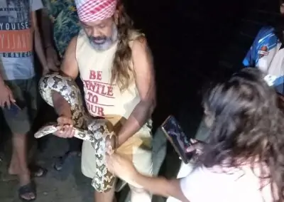 Two pythons rescued on the campus