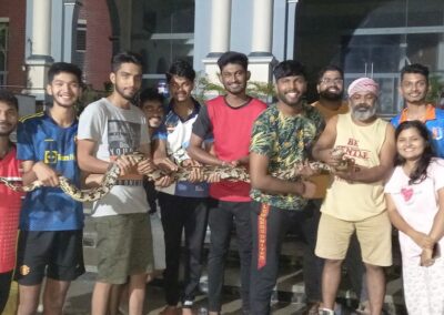 Two pythons rescued on the campus