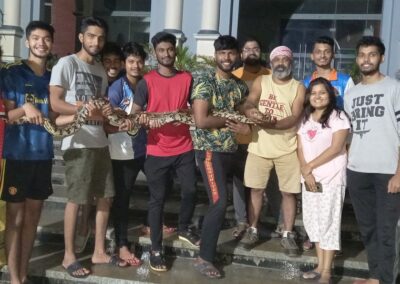 Two pythons rescued on the campus