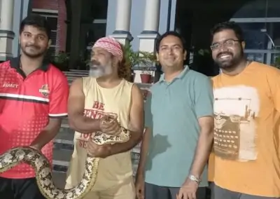Two pythons rescued on the campus